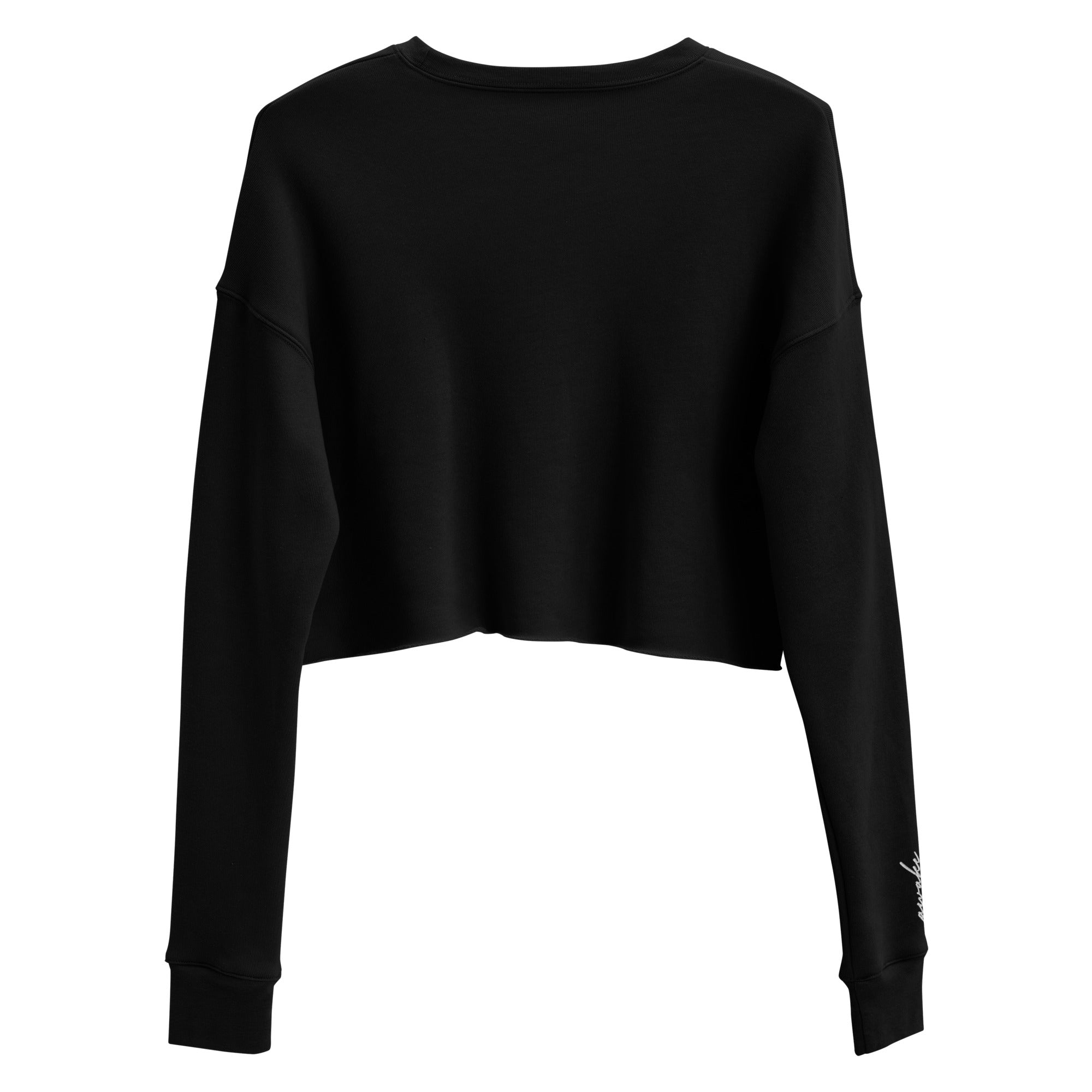 Awake & Aboard Crop Sweatshirt