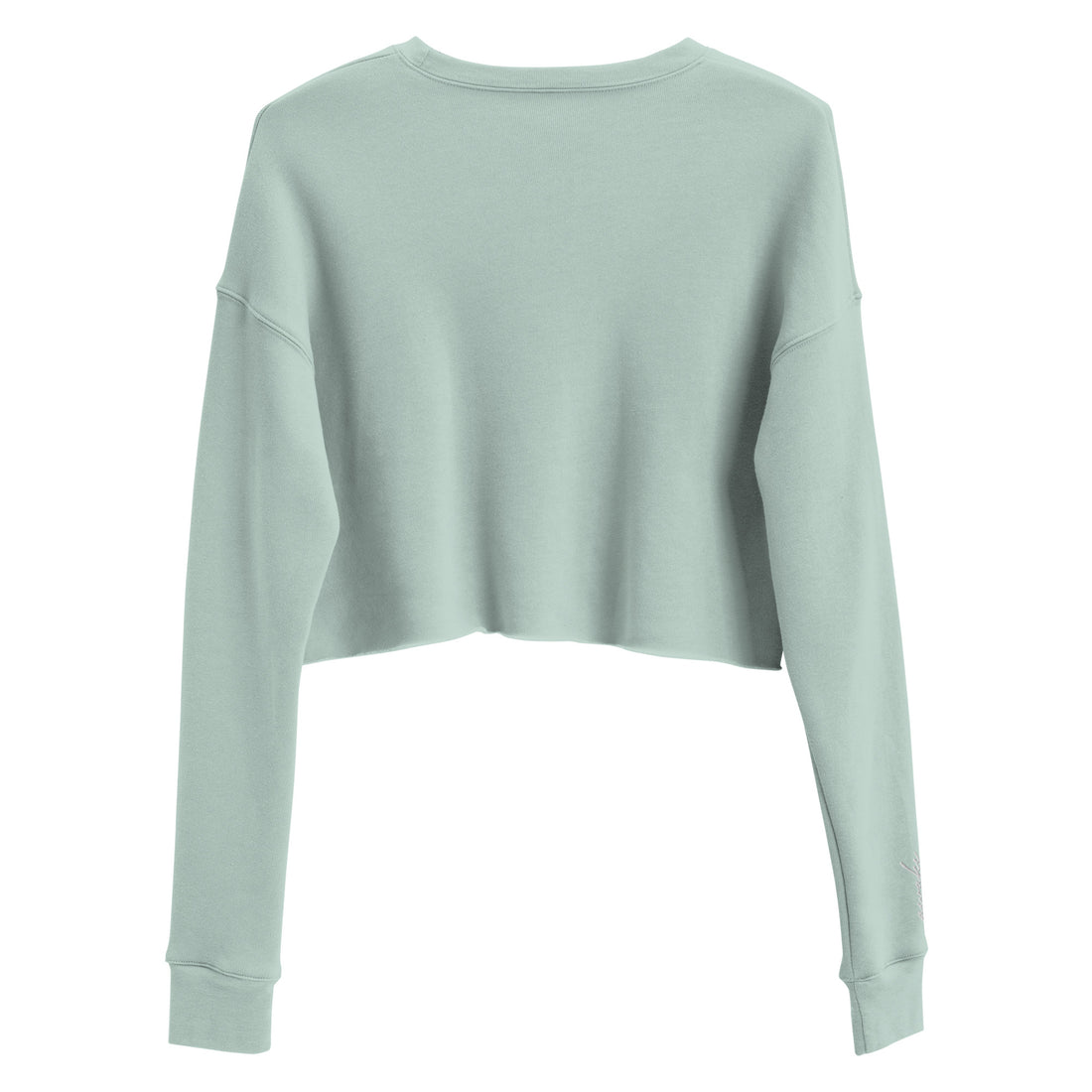 Awake & Aboard Crop Sweatshirt